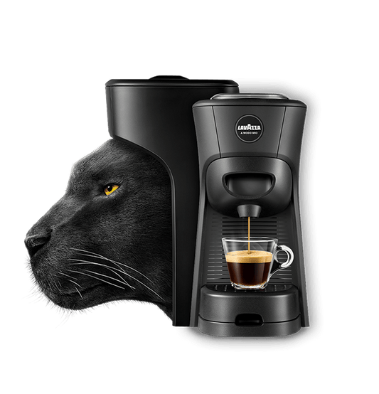 Macchina Espresso Lavazza a Modo Mio Tiny Eco - Punto Caffè