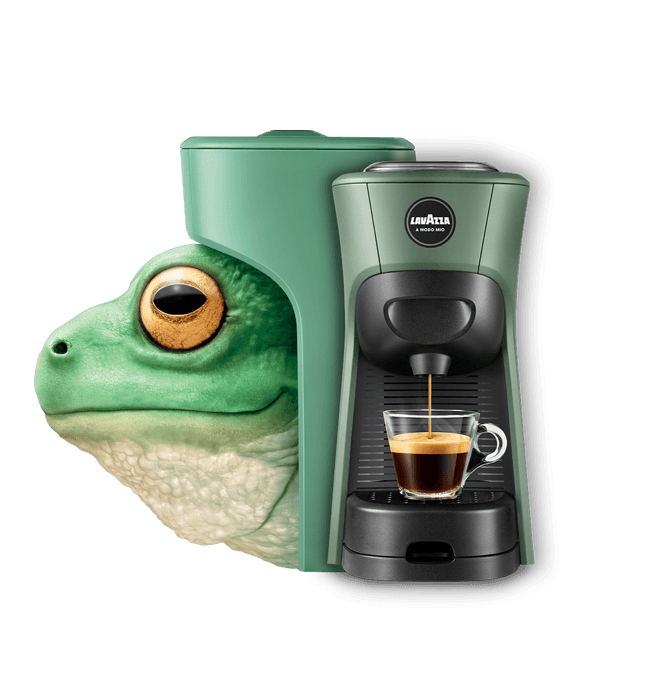 Macchina Espresso Lavazza a Modo Mio Tiny Eco - Punto Caffè