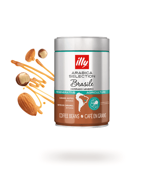 250g Caffè Illy in grani Arabica Selection Brasile Cerrado Mineiro - Punto Caffè